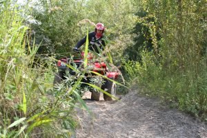 Quad Rijden door het bos